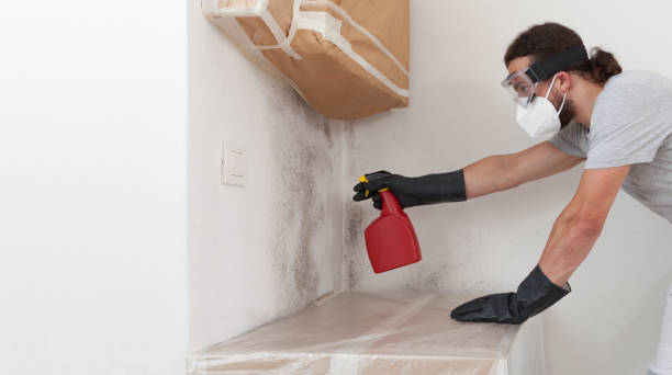 Professional Mold Testing technician working in Sea Girt, NJ
